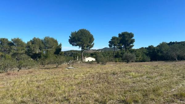Terreno en calle dels Puig Molins s/n