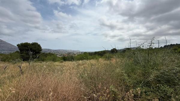 Terreno en calle dels Puig Molins s/n