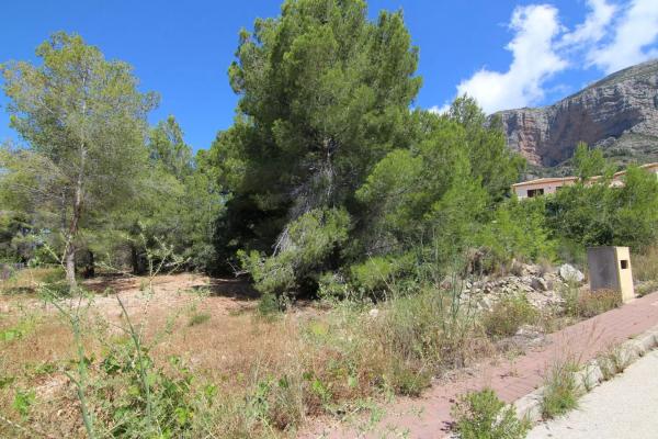 Terreno en Montgó - Ermita