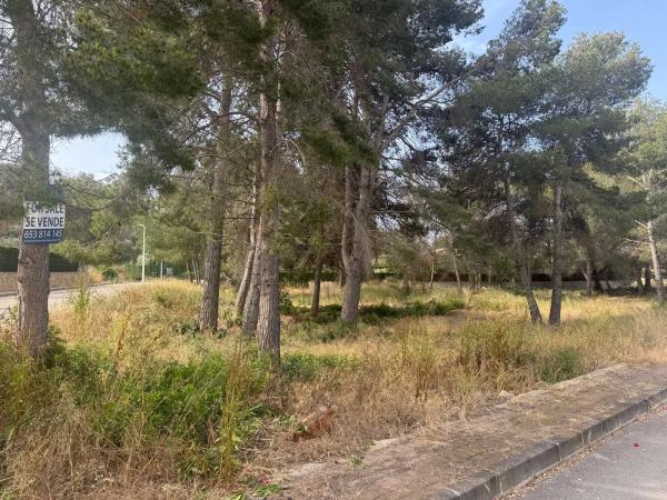 Terreno en calle de la Falzia, 15