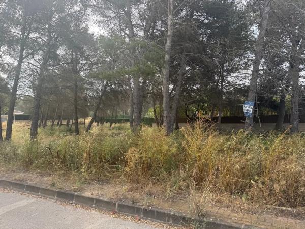 Terreno en calle de la Falzia, 15
