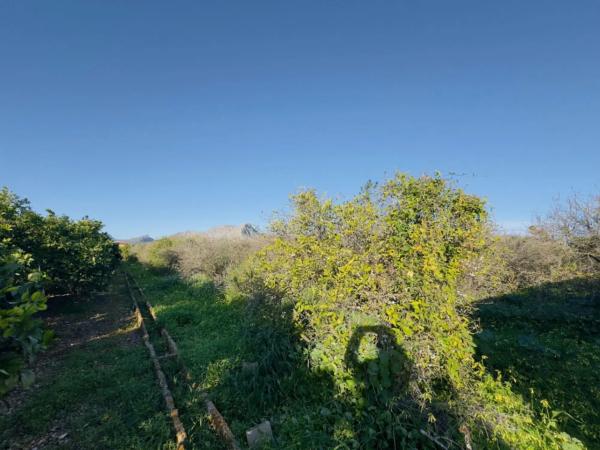 Terreno en Partida Pujades, 3