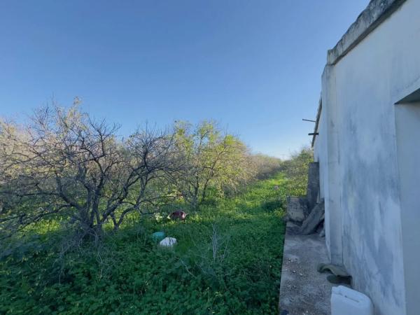 Terreno en Partida Pujades, 3