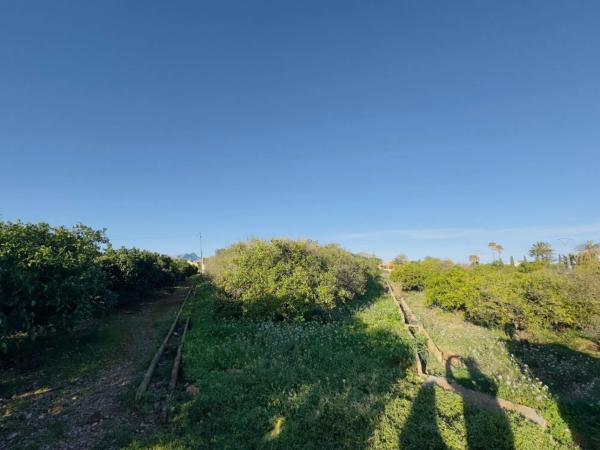 Terreno en Partida Pujades, 3