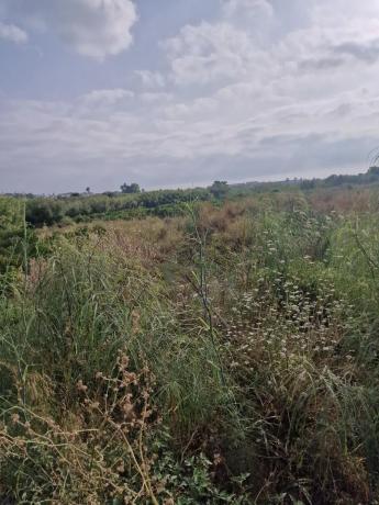 Terreno en Cv-731, km 7