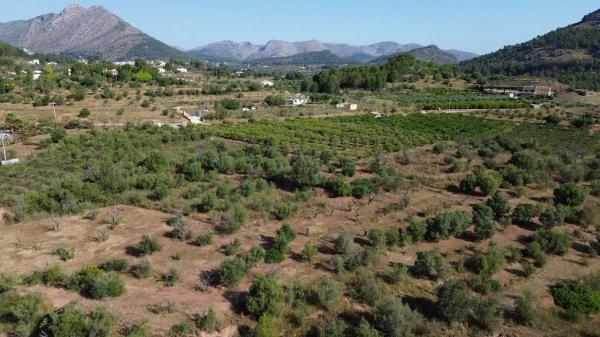 Terreno en Poligono 3 s/n Sn