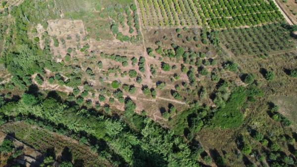 Terreno en Poligono 3 s/n Sn