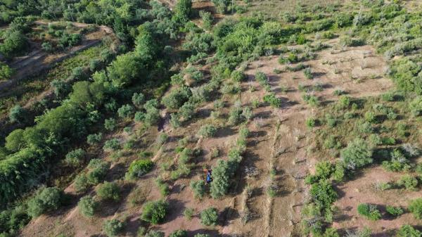 Terreno en Poligono 3 s/n Sn
