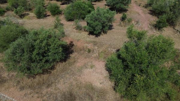 Terreno en Poligono 3 s/n Sn