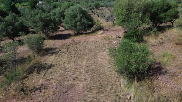 Terreno en Poligono 3 s/n Sn