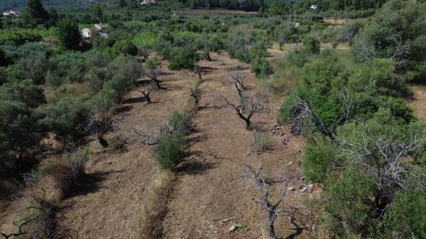Terreno en Poligono 3 s/n Sn