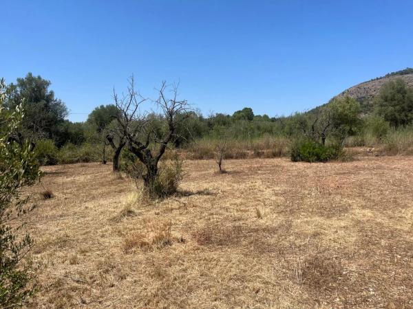 Terreno en Poligono 3 s/n Sn