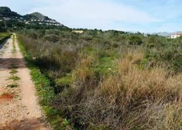 Terreno en camino de Albardanera
