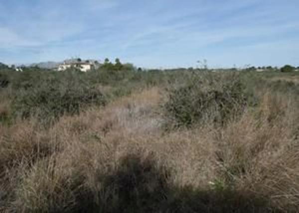 Terreno en camino de Albardanera