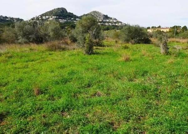 Terreno en camino de Albardanera