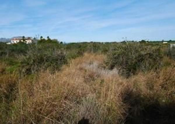 Terreno en camino de Albardanera