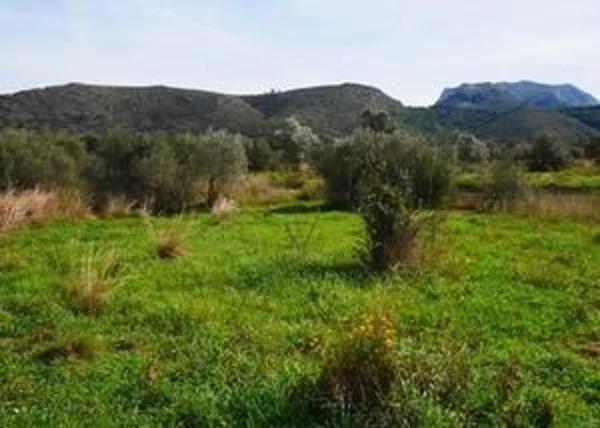 Terreno en camino de Albardanera