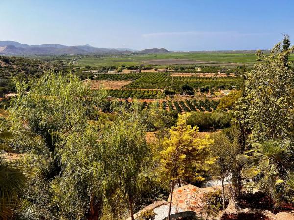 Terreno en avenida Pego, 118