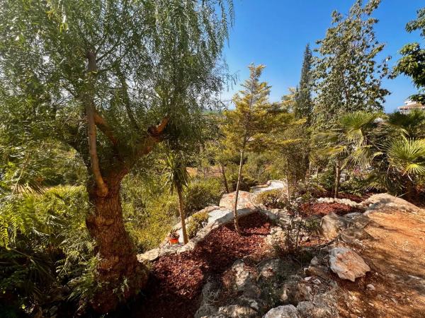 Terreno en avenida Pego, 118