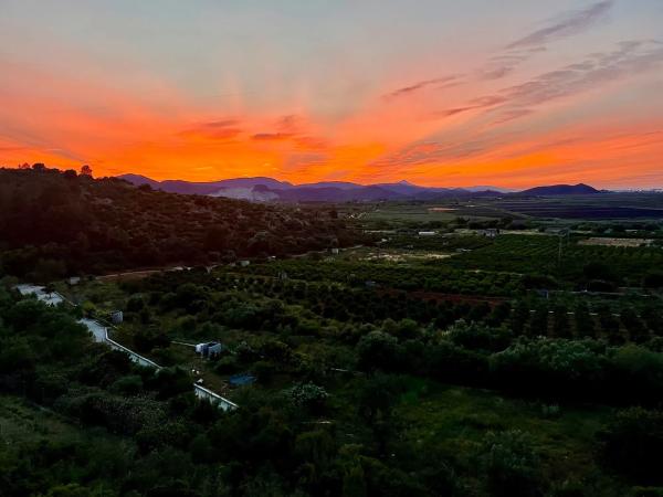 Terreno en avenida Pego, 118