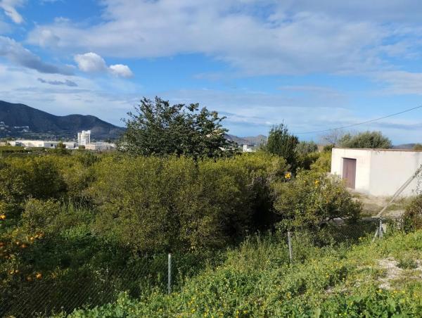 Terreno en Pego