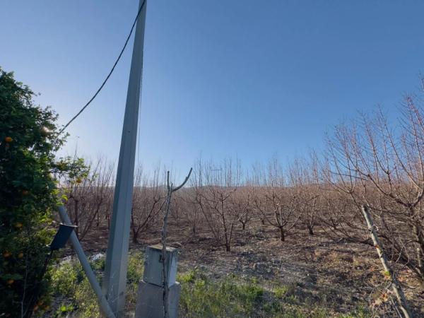 Terreno en avenida de la constitucion, 10