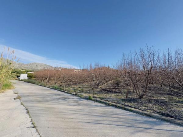 Terreno en avenida de la constitucion, 10