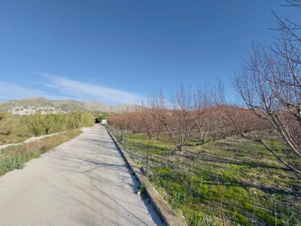 Terreno en avenida de la constitucion, 10