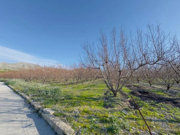 Terreno en avenida de la constitucion, 10