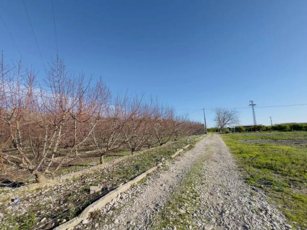 Terreno en avenida de la constitucion, 10