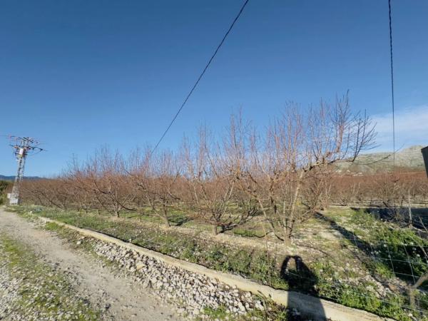 Terreno en avenida de la constitucion, 10