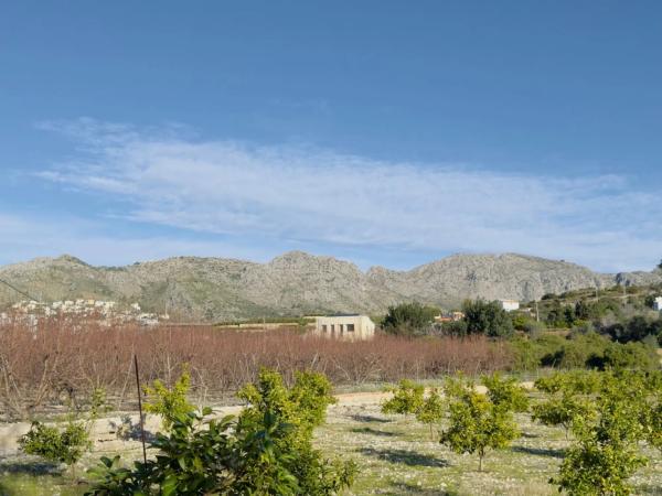 Terreno en avenida de la constitucion, 10