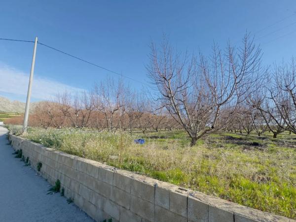 Terreno en avenida de la constitucion, 10