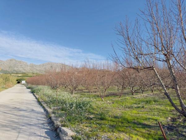Terreno en avenida de la constitucion, 10