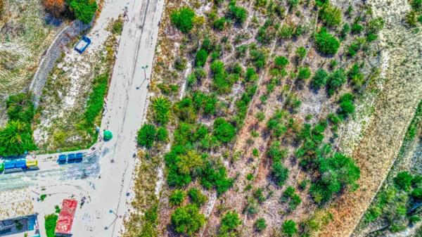 Terreno en Vall de Gallinera