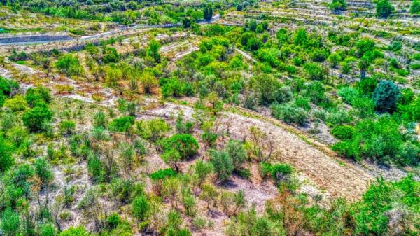 Terreno en Vall de Gallinera