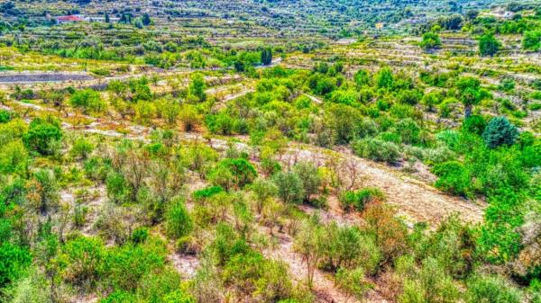 Terreno en Vall de Gallinera