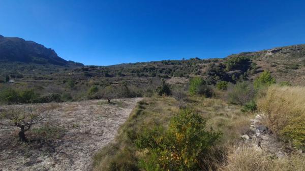 Terreno en Vall de Gallinera