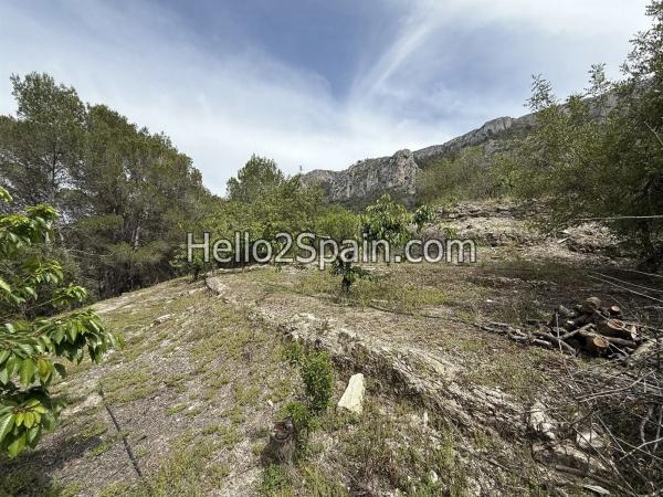 Terreno en calle Major s/n