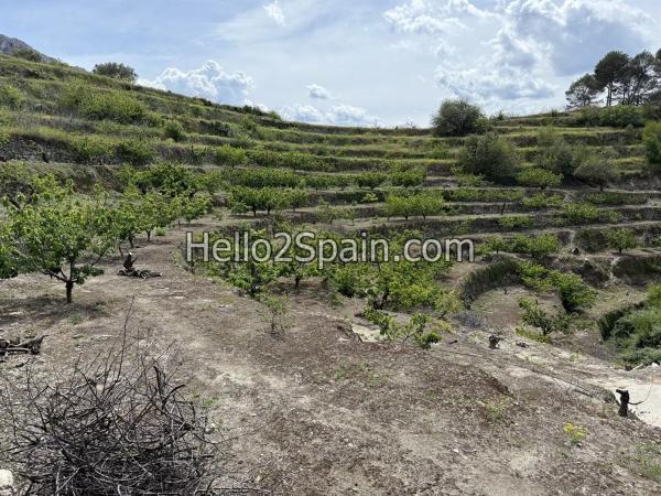 Terreno en calle Major s/n