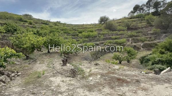 Terreno en calle Major s/n