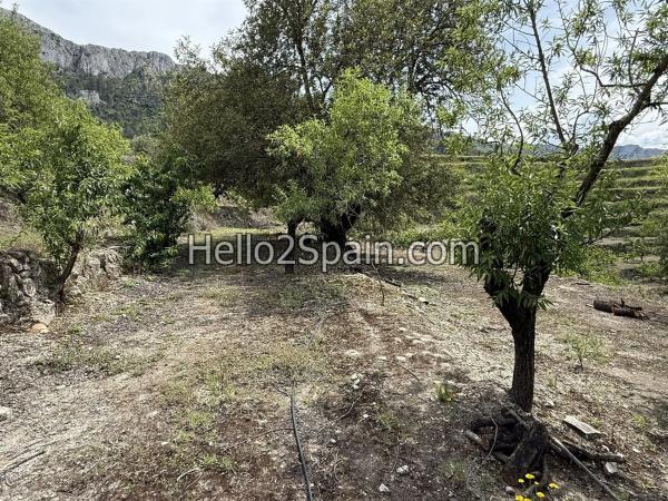 Terreno en calle Major s/n