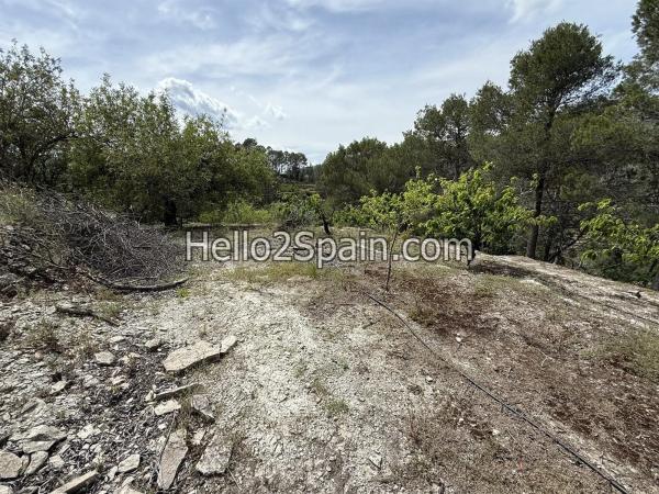 Terreno en calle Major s/n