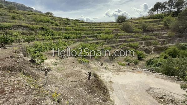 Terreno en calle Major s/n