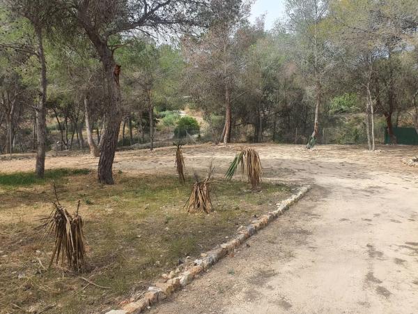 Terreno en calle leonardo, 1