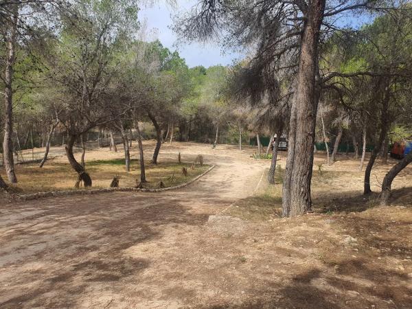 Terreno en calle leonardo, 1