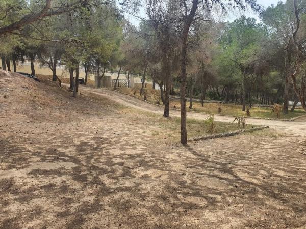 Terreno en calle leonardo, 1