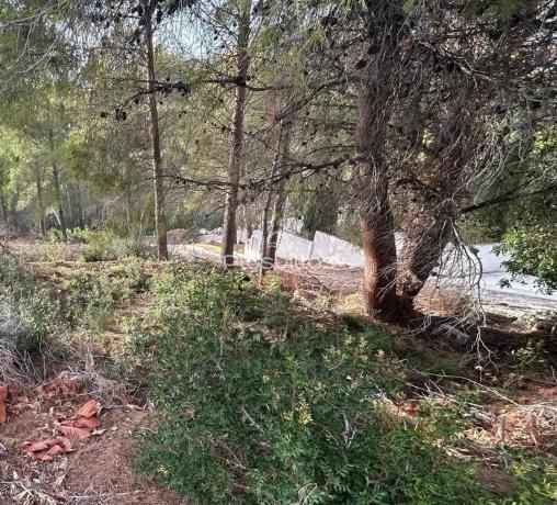 Terreno en calle Bassa