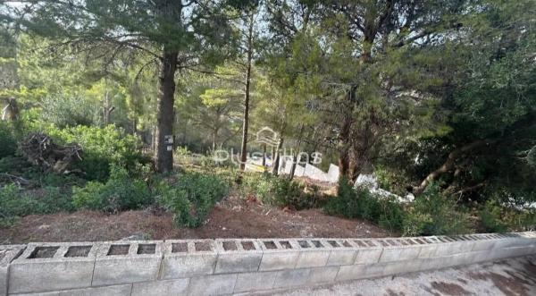 Terreno en calle Bassa