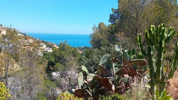 Terreno en Altea la Vella